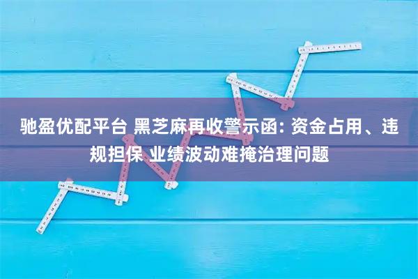 驰盈优配平台 黑芝麻再收警示函: 资金占用、违规担保 业绩波动难掩治理问题